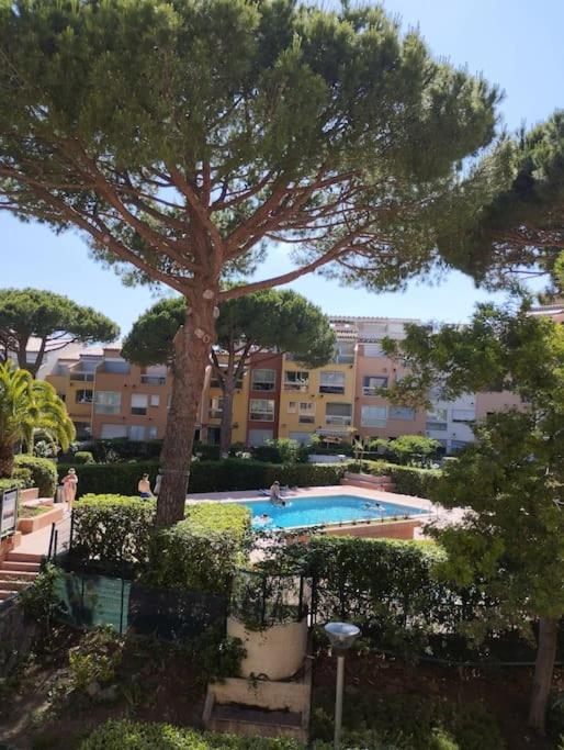 Studio 4 Couchages Avec Piscine D'Ete Vue Port Agde Extérieur photo